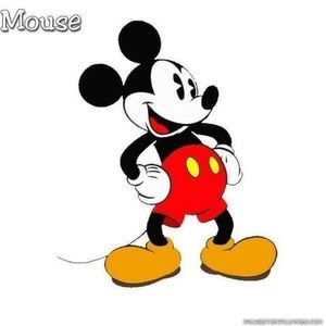 Meet your Posher, Cherie